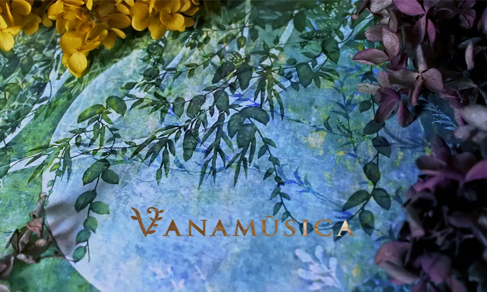 VANAMŪSICA_image_ART04